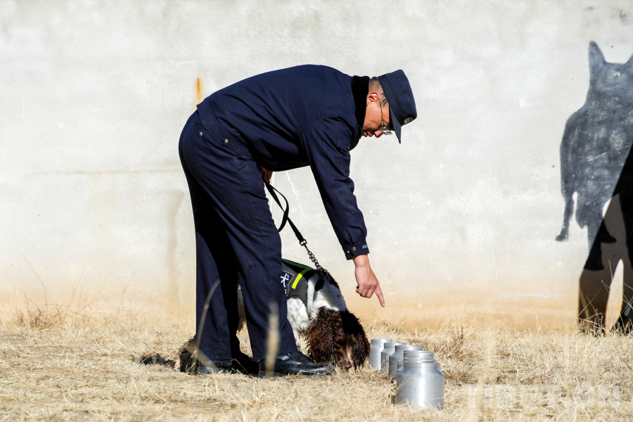 DSC04649.jpg DSC04649.jpg