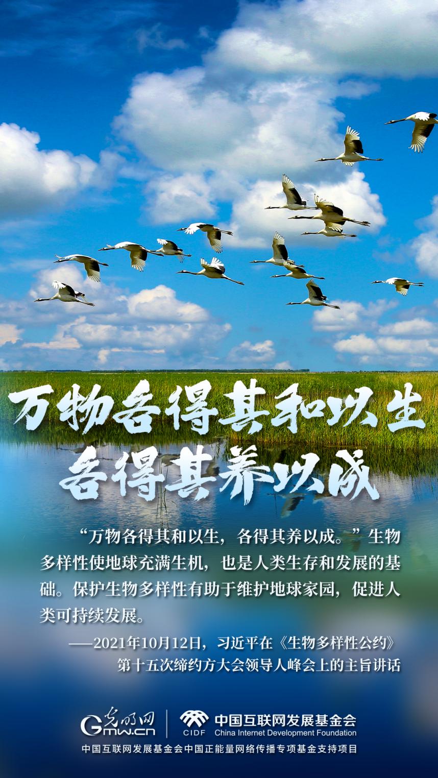 “两山”理念与美丽中国丨湿地与候鸟，一场岁岁年年的相守