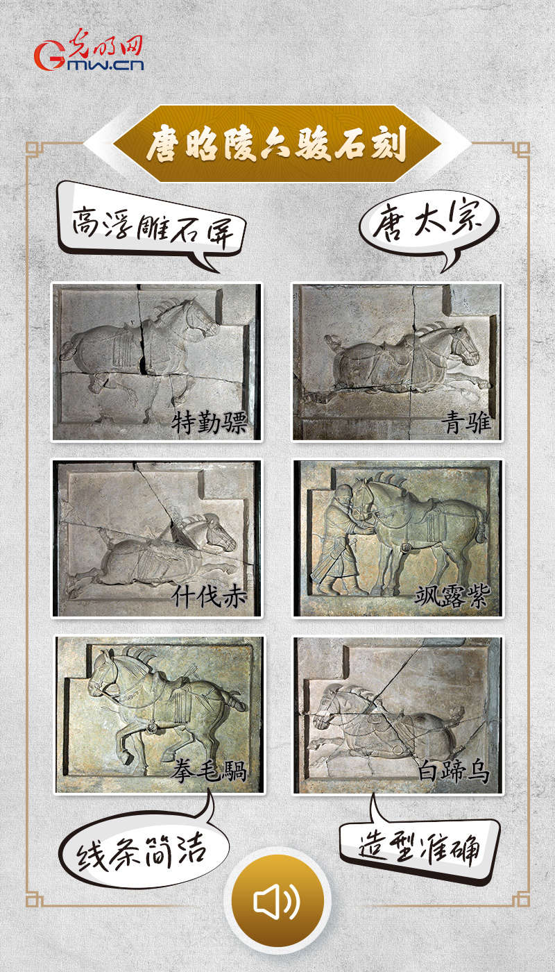 “文物会说话”有声海报｜“天马行空”恭贺新禧，这波“马力值”拉满～～