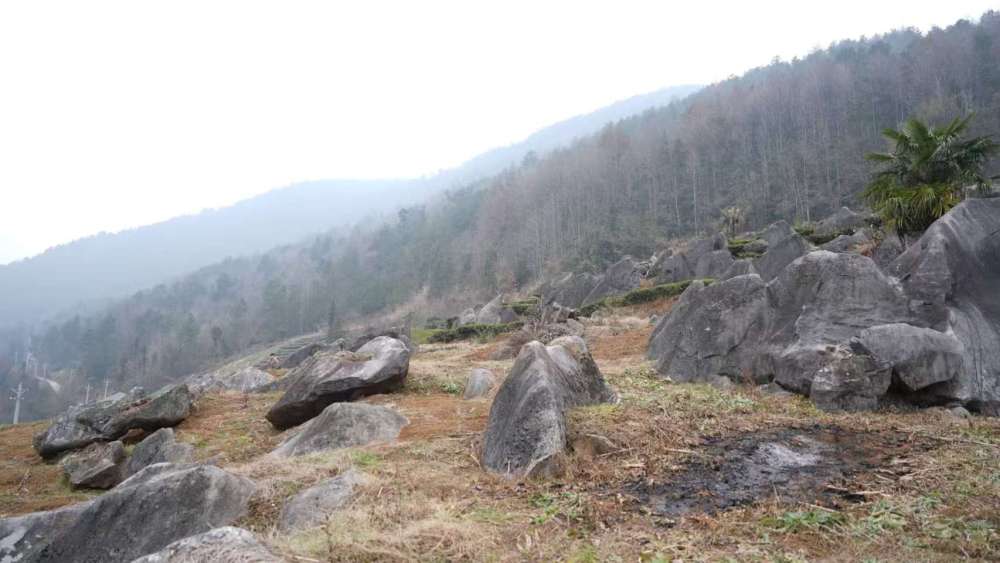 新春走基层｜绝壁之上一个“索道村”的新生(图3)