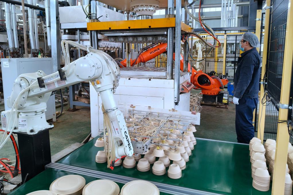 开云网站：两会精神看落实丨“加减”之间看变化——重庆忠县绿色发展探索观察(图1)