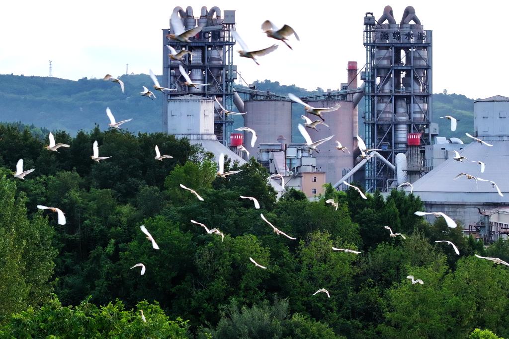 开云网站：两会精神看落实丨“加减”之间看变化——重庆忠县绿色发展探索观察(图2)