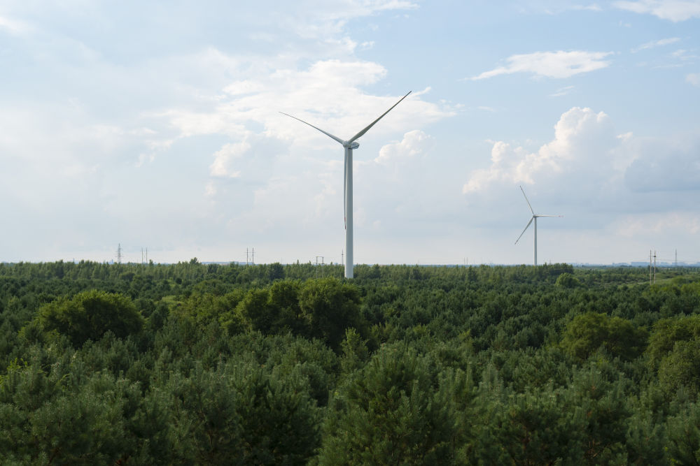 习近平总书记关切事｜以林为笔的生态答卷(图1)