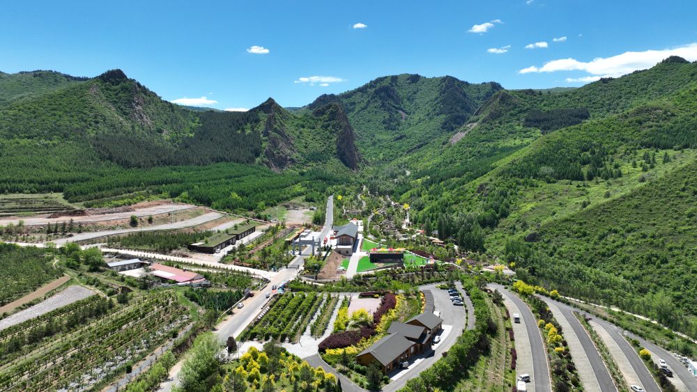 习近平总书记关切事｜以林为笔的生态答卷(图2)