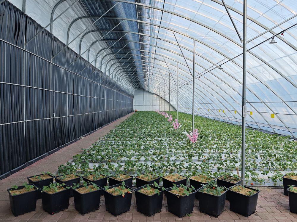 习近平总书记关切事｜以林为笔的生态答卷(图5)