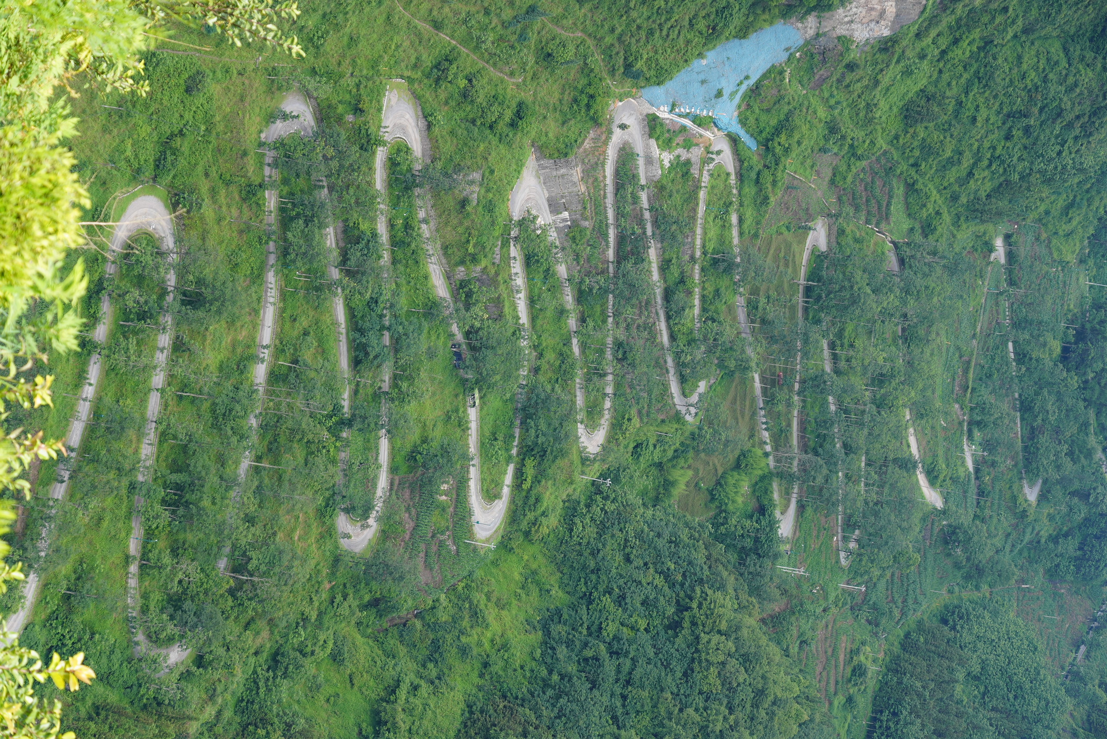 W020250629510351539403.jpg