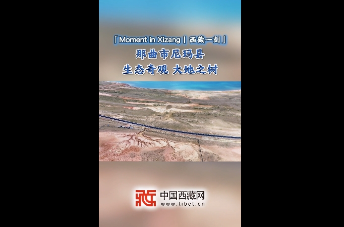 微信截图_20260812160213.png