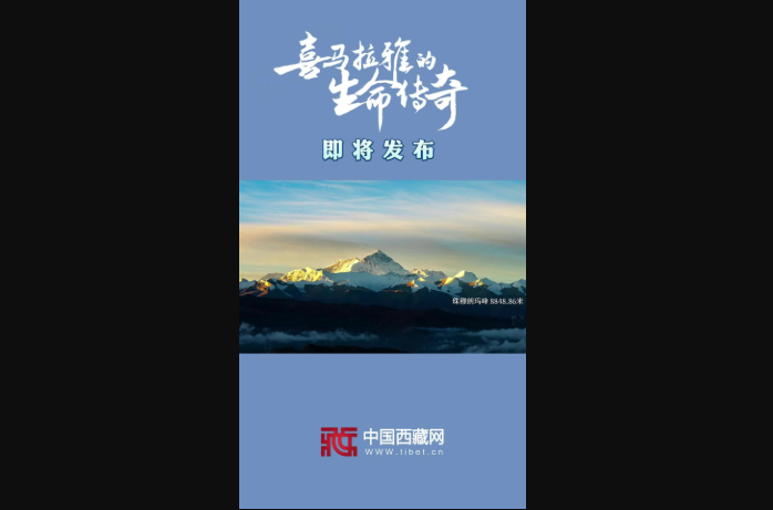 企业微信截图_20260930223752.png