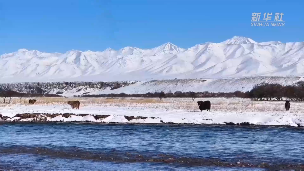 青海門源：雪后初霽 山水如畫