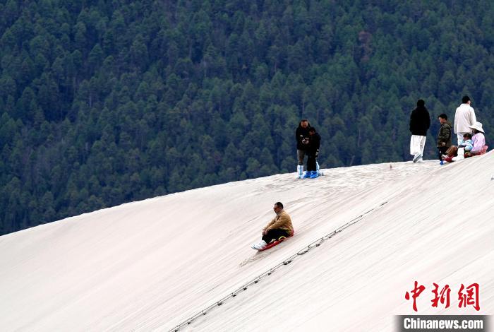 游客西藏米林乐享美好春光