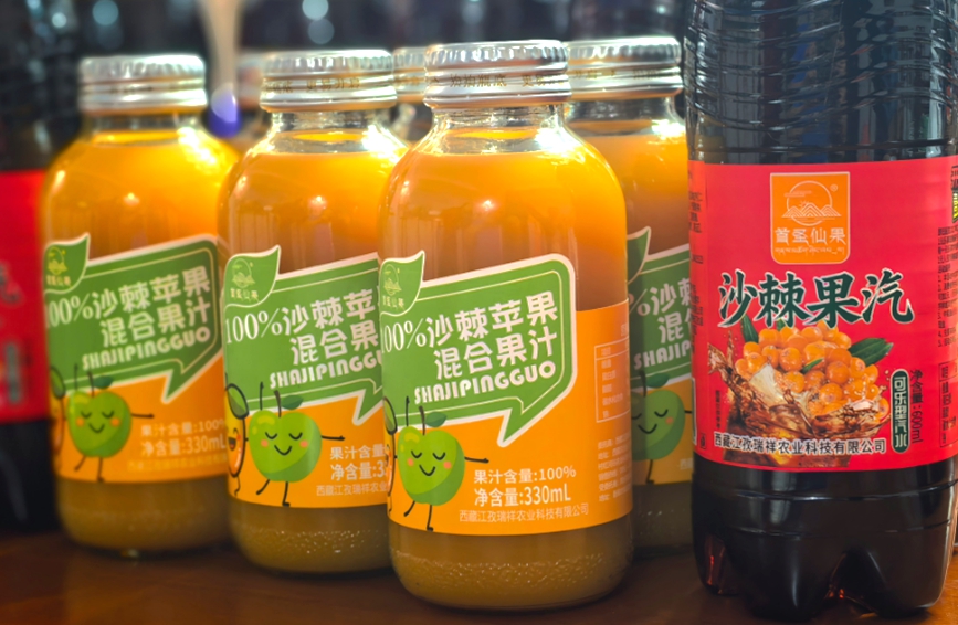 江孜沙棘深加工产品亮相市场，从鲜果走向果汁、果汽等终端消费。徐驭尧摄