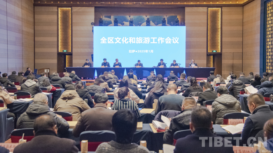 干货满满！西藏自治区文明和旅行作业亮点纷呈