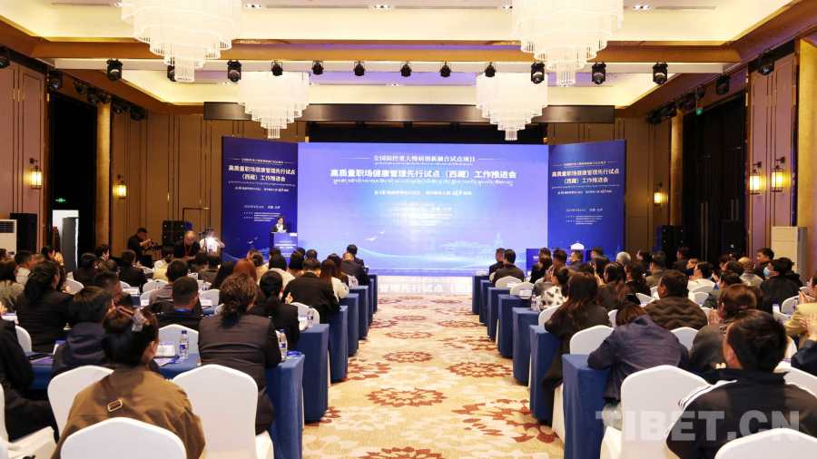 开云注册登录专家齐聚 共话高质量职场健康管理