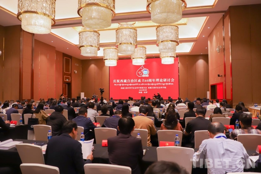智汇：专家学者共议西藏发展新图景
