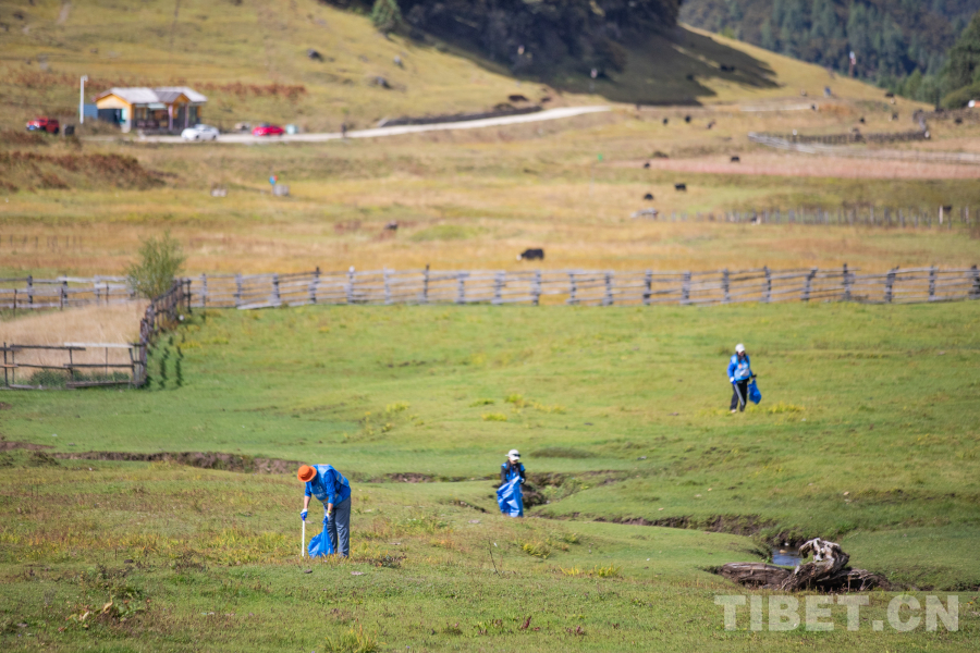 全国志愿者汇聚西藏 共同守护高原生态安全——“2025喜马拉雅守护者大会暨第二届