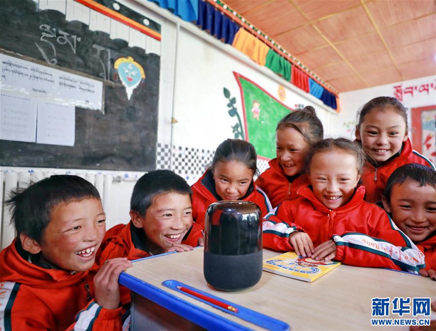 （专供新华网西藏频道）（图文互动）国网浙江电力向西藏那曲捐赠当地首辆电动汽车(3)