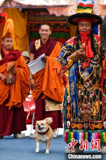 图为西藏山南桑顶寺“岗甲萨”大法会跳神活动现场。　贡嘎来松 摄