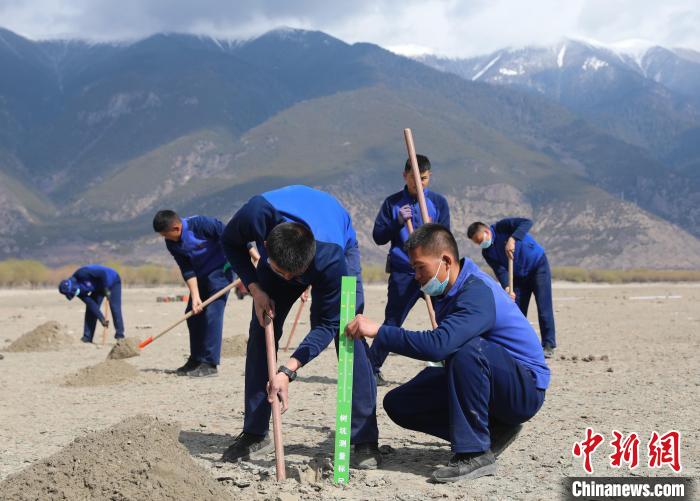 西藏林芝森林消防为第二故乡添新绿