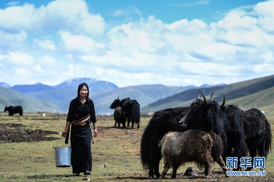 打卡青海丨果洛，一片純凈的藏鄉秘境