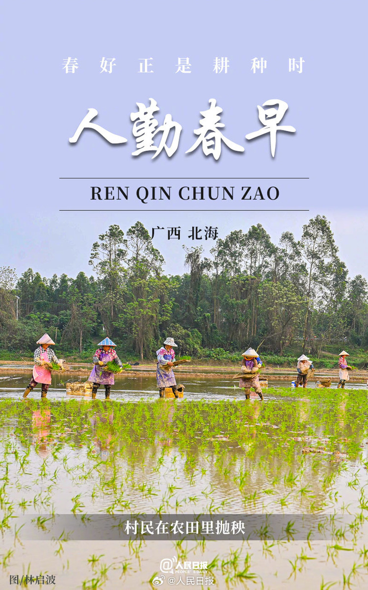 生机盎然!用课本封面打开春耕画卷