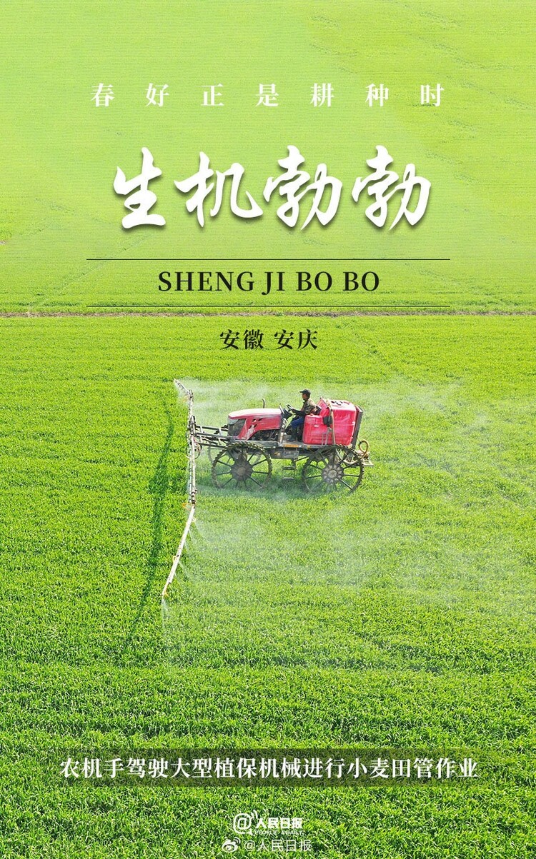 生机盎然!用课本封面打开春耕画卷