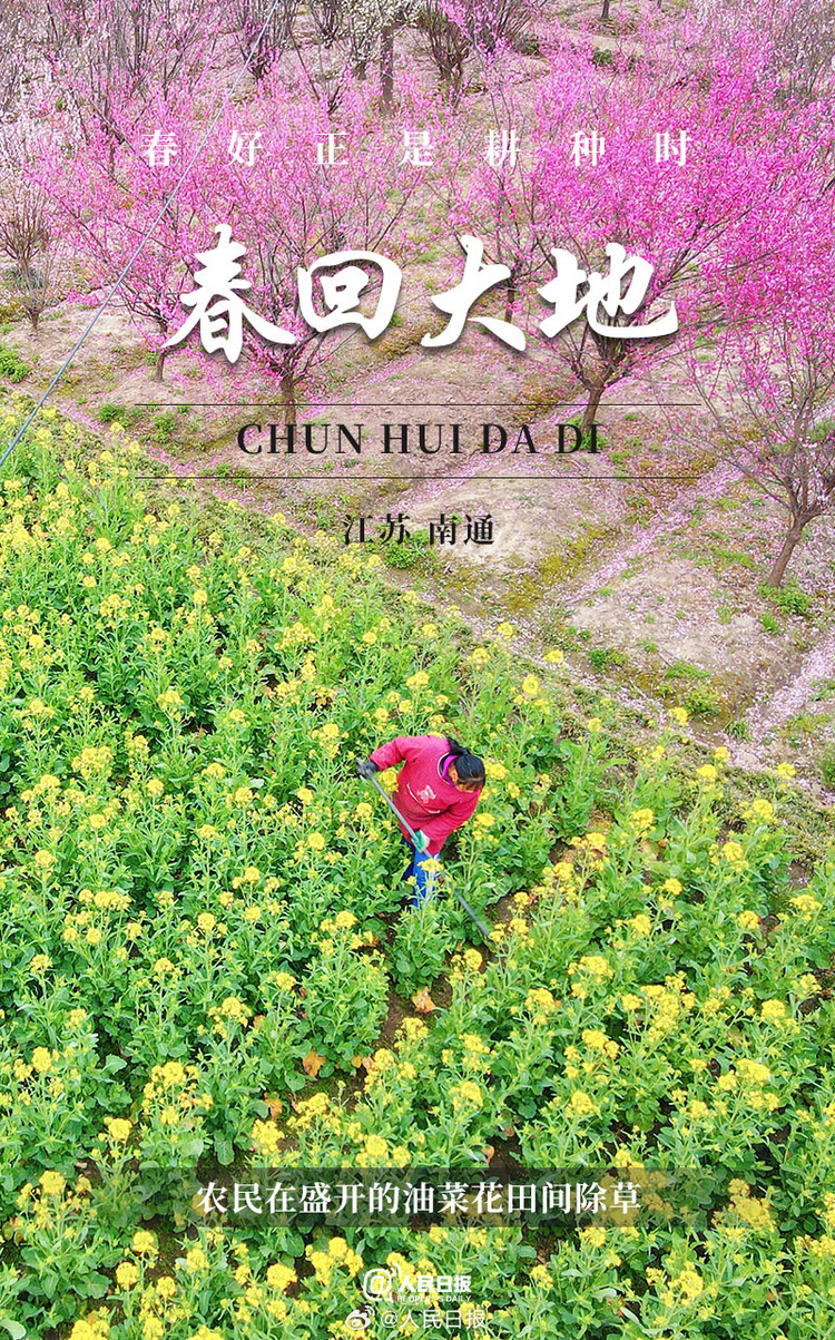 生机盎然!用课本封面打开春耕画卷