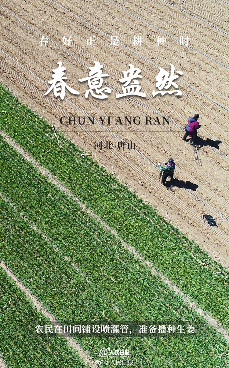 生机盎然!用课本封面打开春耕画卷