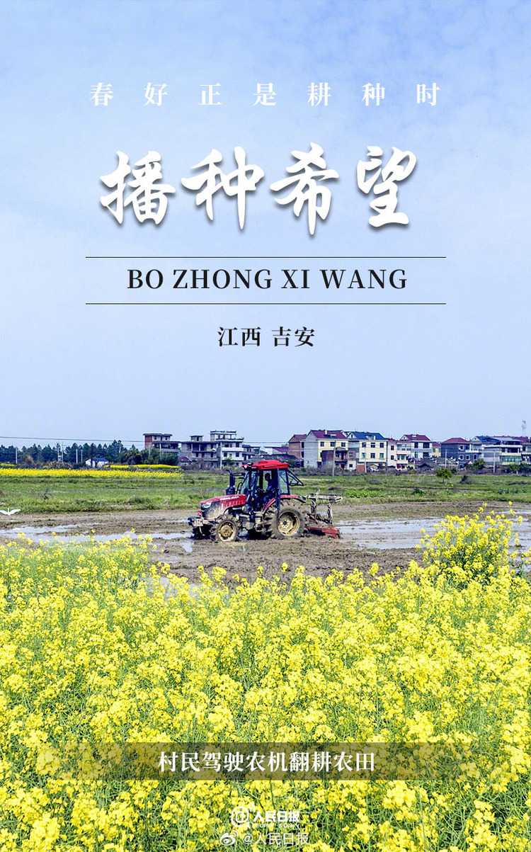 生机盎然!用课本封面打开春耕画卷