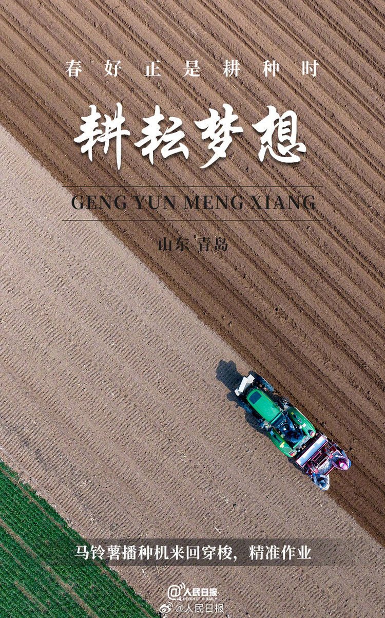 生机盎然!用课本封面打开春耕画卷