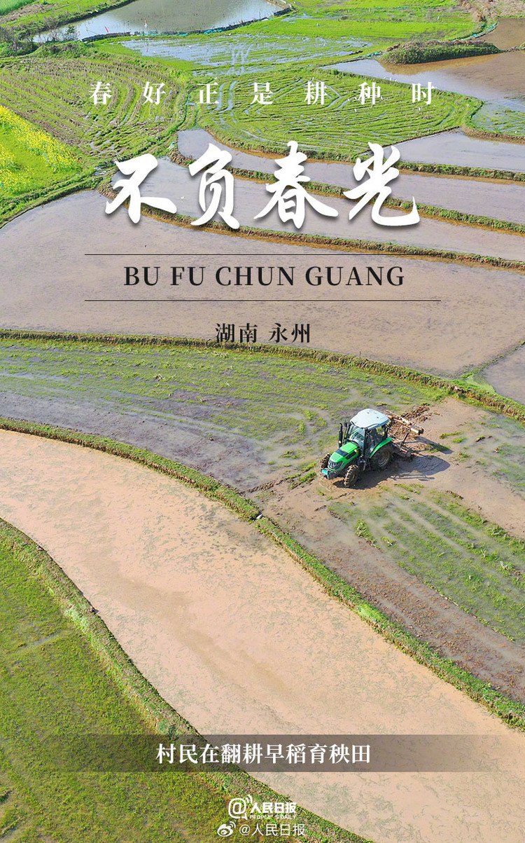 生机盎然!用课本封面打开春耕画卷