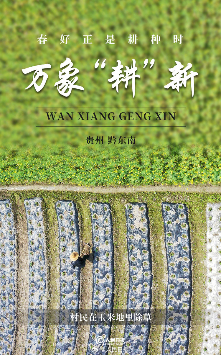 生机盎然!用课本封面打开春耕画卷