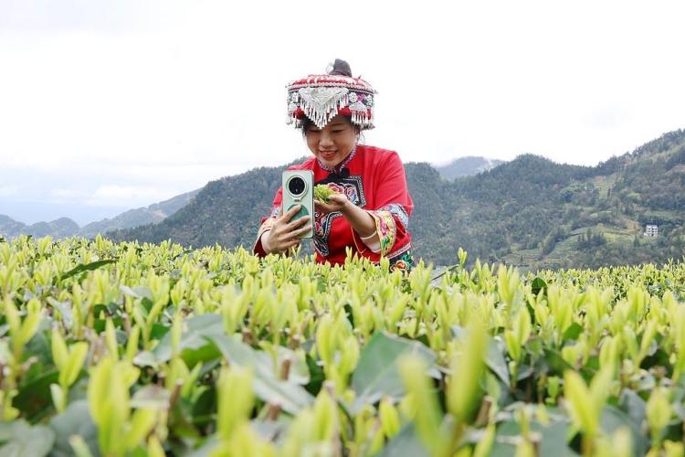 中国经济信心说丨以电商之“智”，筑实体经济之“基”