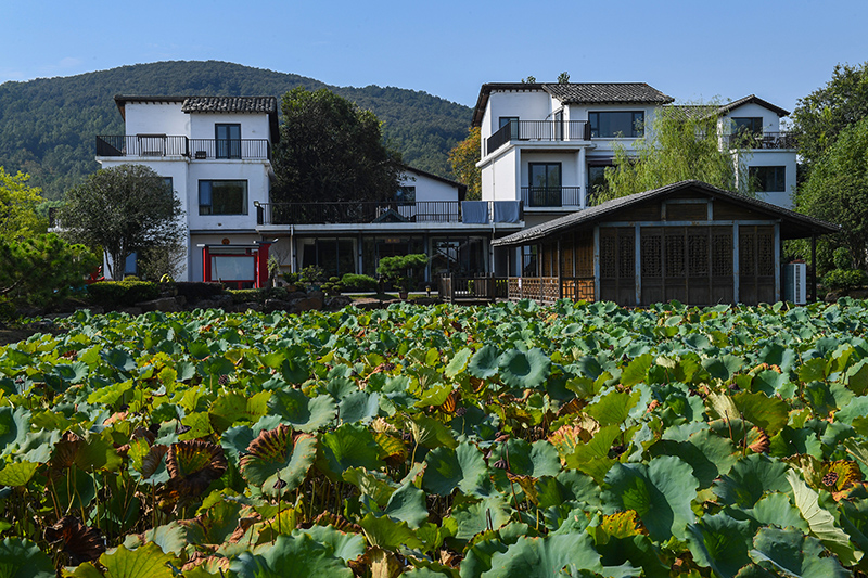 雨悦山房负责人原来在马达加斯加打理酒店,之所以“从马达加斯加到肥东”,源于对家乡民宿前景看好。吴芳摄