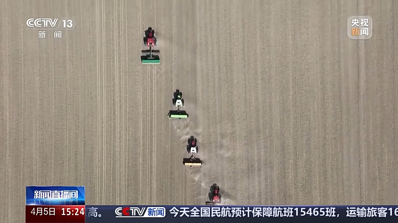 文化中国行丨播种“冰麦”“龙王”巡游智能养蚕 他们这样过清明→(图2)