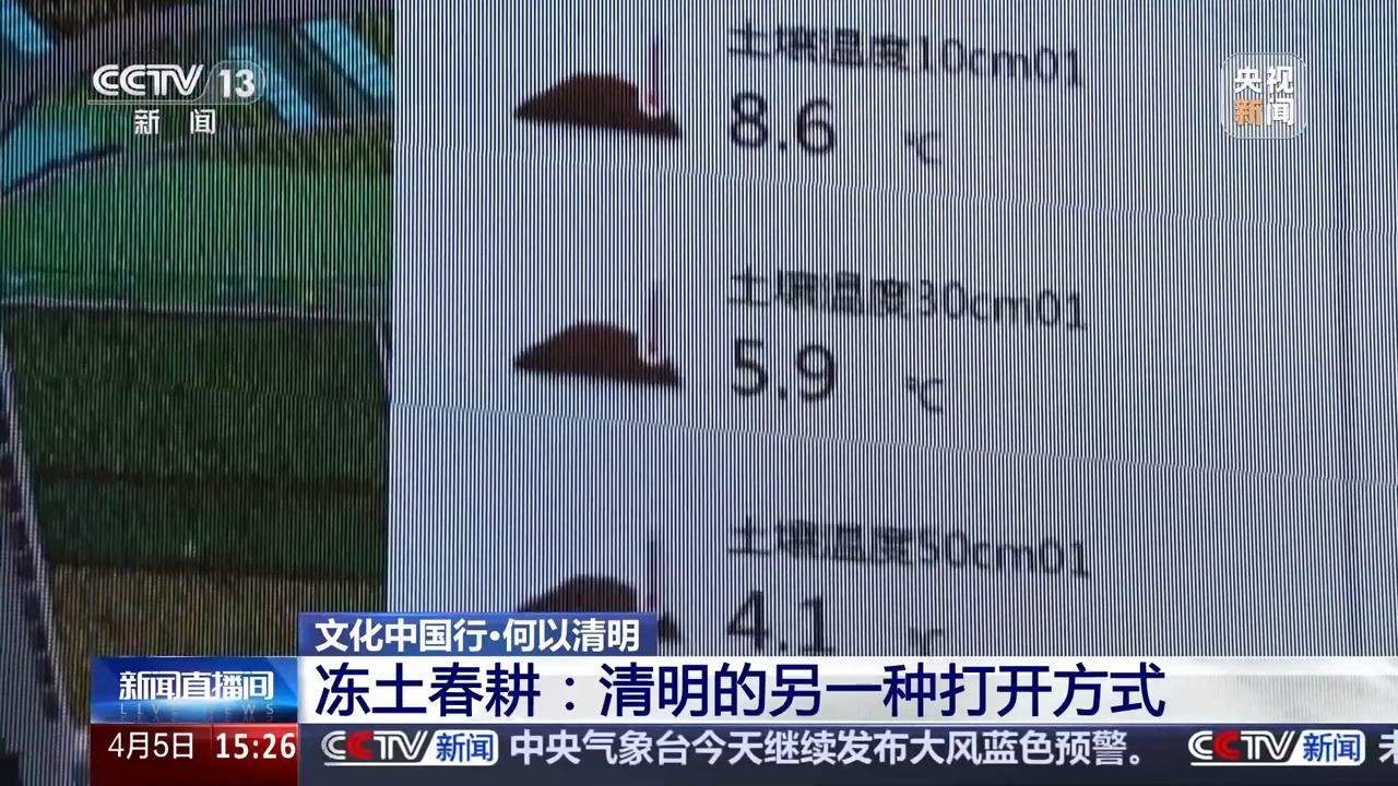 文化中国行丨播种“冰麦”“龙王”巡游智能养蚕 他们这样过清明→(图5)