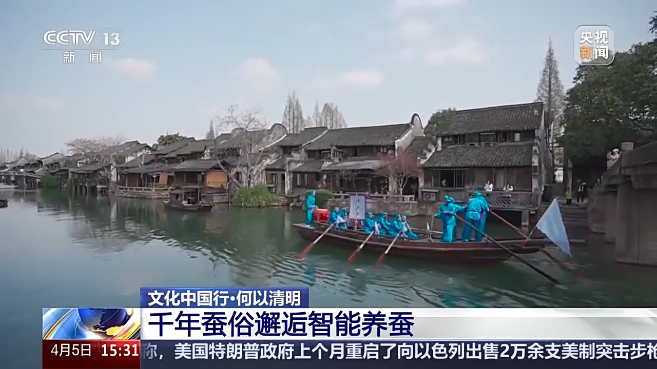 文化中国行丨播种“冰麦”“龙王”巡游智能养蚕 他们这样过清明→(图11)