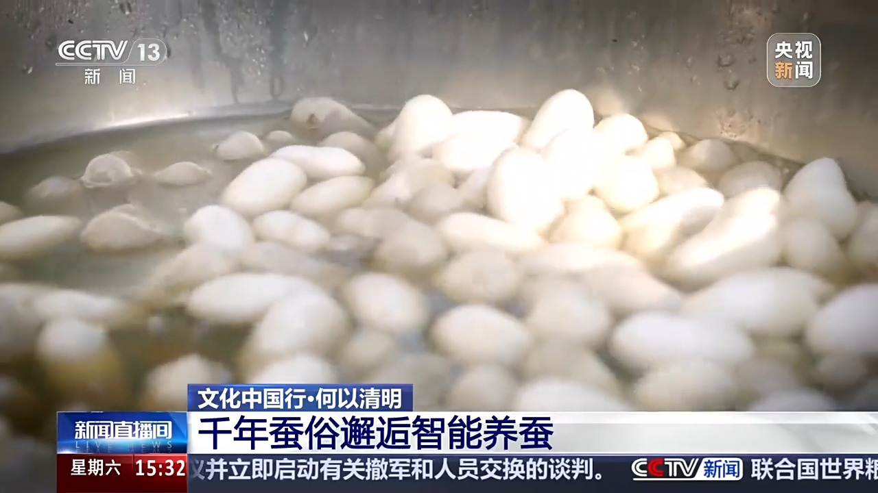 文化中国行丨播种“冰麦”“龙王”巡游智能养蚕 他们这样过清明→(图13)