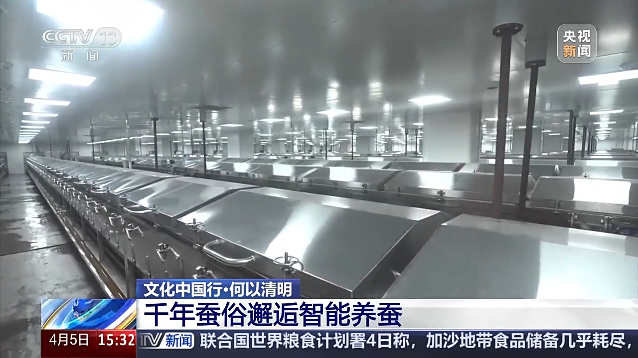 文化中国行丨播种“冰麦”“龙王”巡游智能养蚕 他们这样过清明→(图14)