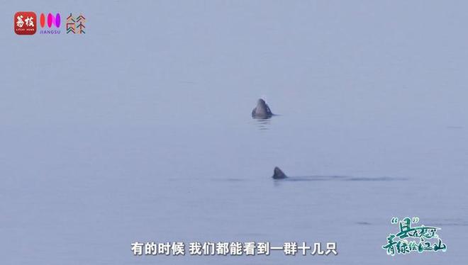 “县”在起笔 青绿绘江山 | 江湾沐晓：褪去“锈色”走“金线”，绣出生态与产业“双面锦”