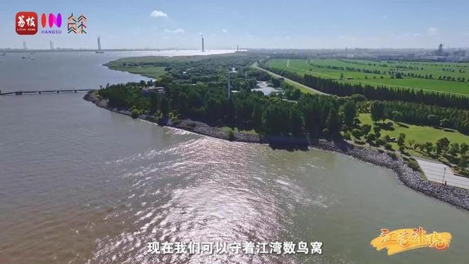“县”在起笔 青绿绘江山 | 江湾沐晓：褪去“锈色”走“金线”，绣出生态与产业“双面锦”
