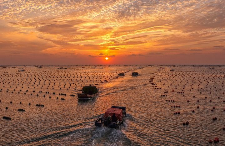 推动农业农村现代化再上新台阶——从中央一号文件看2026年“三农”工作路线图(图9)