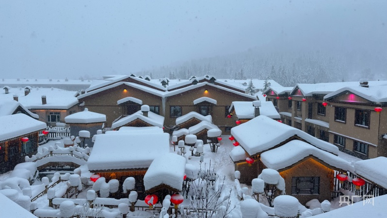 行稳致远开新局丨从冰天雪地到创新高地“黑”土地如何焕新发力？(图3)