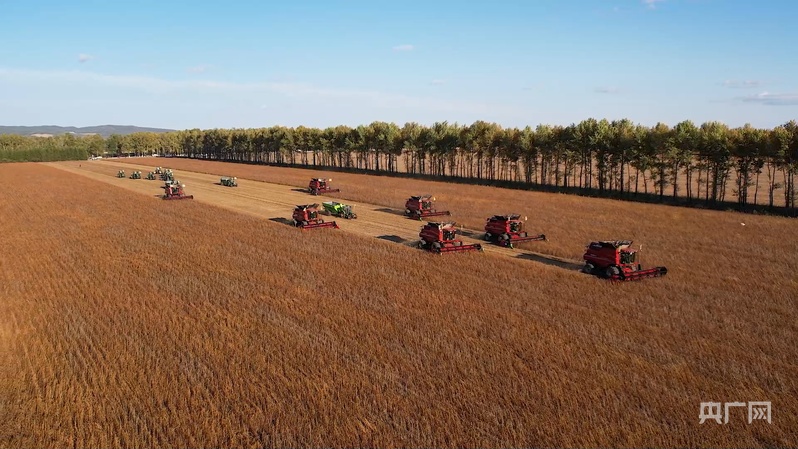 行稳致远开新局丨从冰天雪地到创新高地“黑”土地如何焕新发力？(图7)