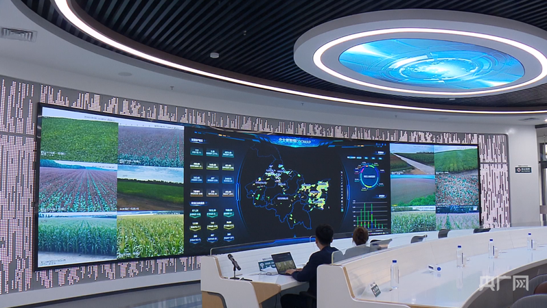 行稳致远开新局丨从冰天雪地到创新高地“黑”土地如何焕新发力？(图8)