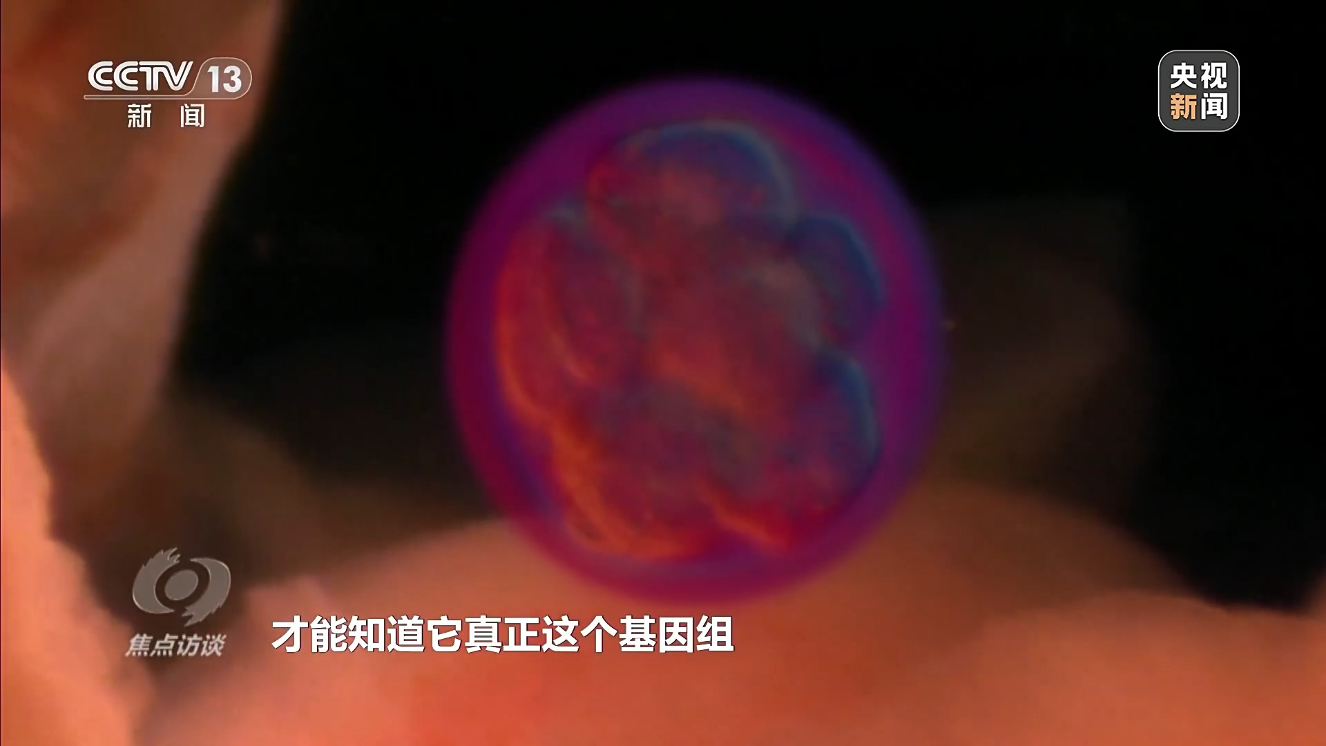 焦点访谈丨“舟”行万里赴星河中国空间站“太空快递”再上新(图6)