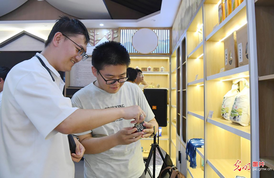 青年学子在一线：锤炼专业本领，服务地方发展