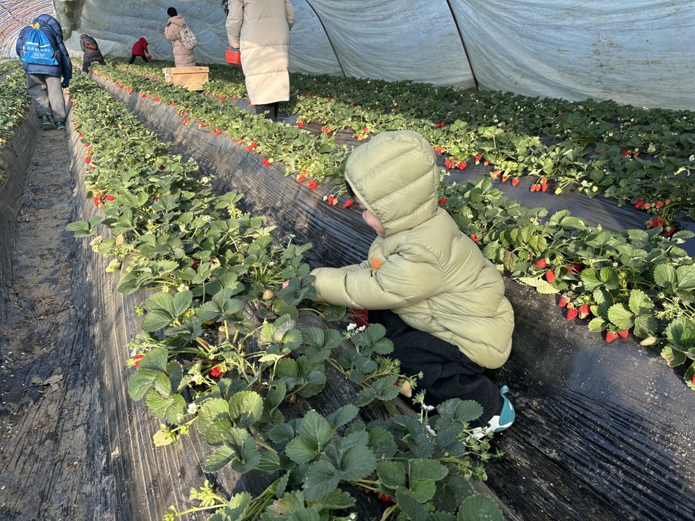 习近平总书记关切事｜经济大省勇挑大梁(图8)