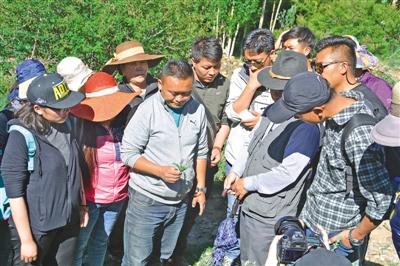 西藏甘露藏药:一颗璀璨的明珠