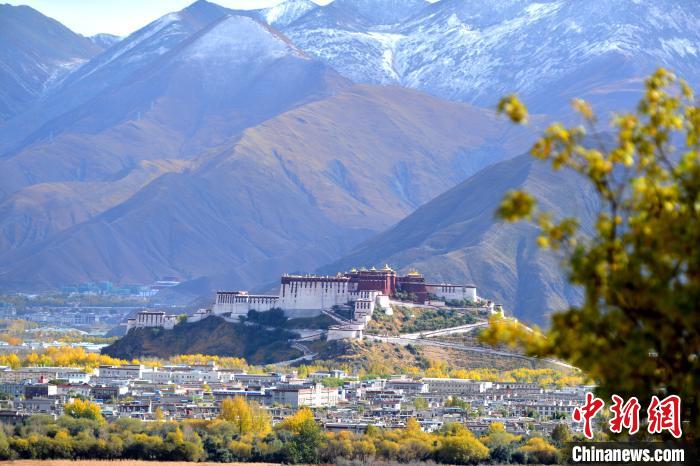 10月24日，雪山、布达拉宫和秋色组成“风景画”。　江飞波 摄
