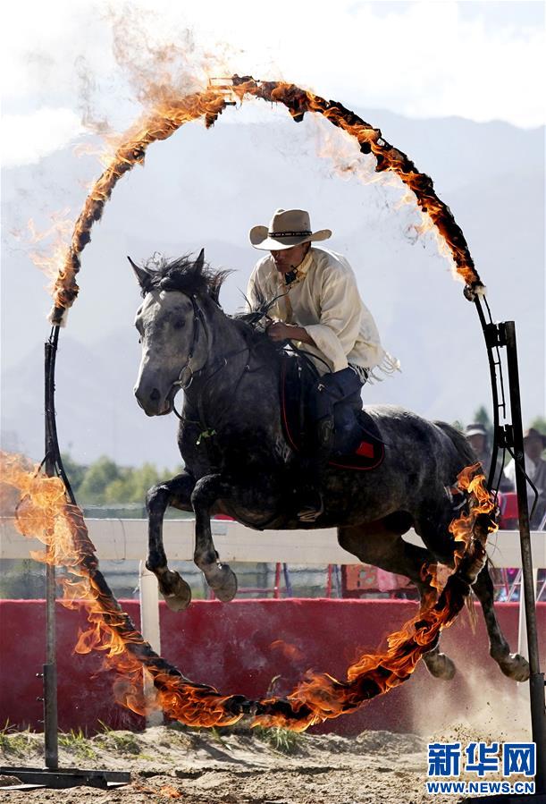 (体育)(4)民族体育——拉萨举行民族传统马术表演